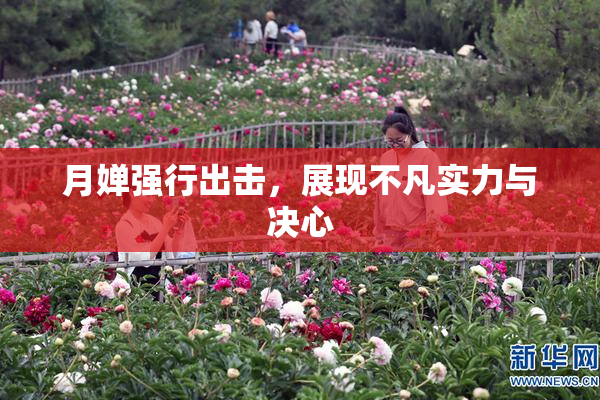 月婵强行出击，展现不凡实力与决心