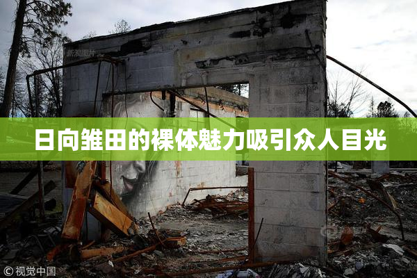 日向雏田的裸体魅力吸引众人目光