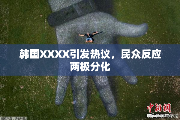 韩国XXXX引发热议，民众反应两极分化