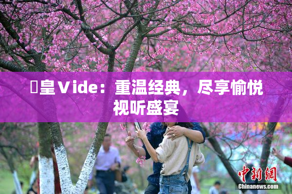 嘼皇Ⅴide：重温经典，尽享愉悦视听盛宴