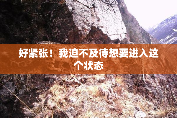 好紧张！我迫不及待想要进入这个状态