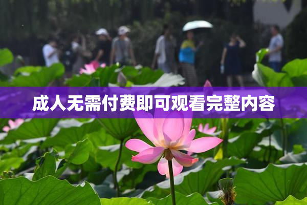 成人无需付费即可观看完整内容