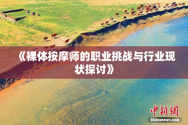 《裸体按摩师的职业挑战与行业现状探讨》