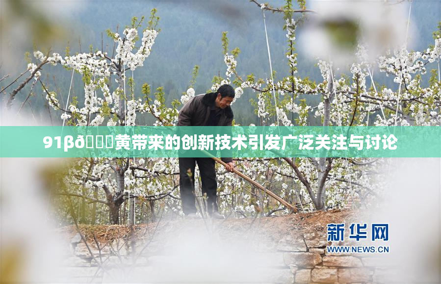 91β🔞黄带来的创新技术引发广泛关注与讨论