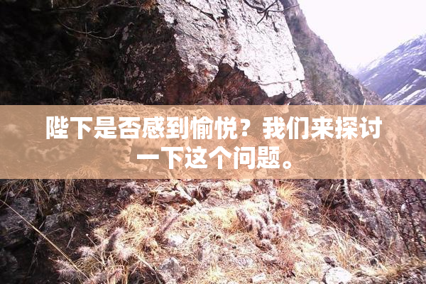 陛下是否感到愉悦？我们来探讨一下这个问题。