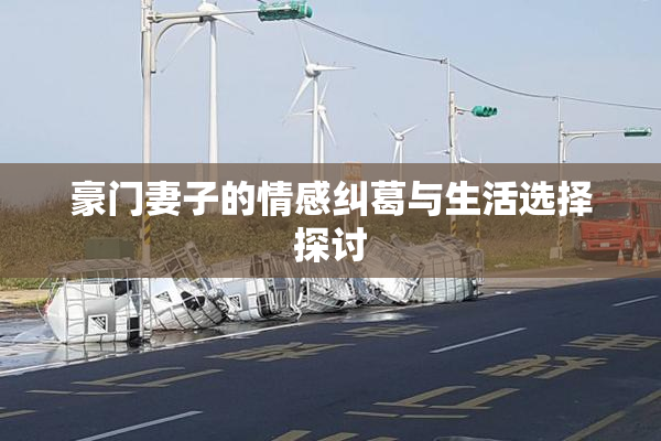 豪门妻子的情感纠葛与生活选择探讨