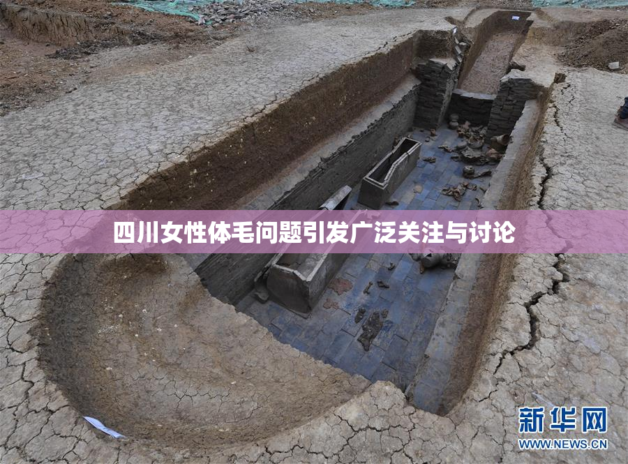 四川女性体毛问题引发广泛关注与讨论