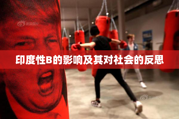 印度性B的影响及其对社会的反思