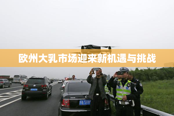 欧州大乳市场迎来新机遇与挑战