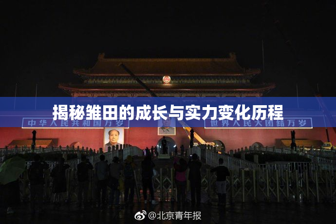揭秘雏田的成长与实力变化历程