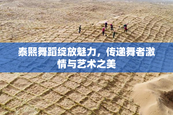 泰熙舞蹈绽放魅力，传递舞者激情与艺术之美