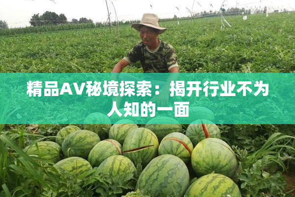 精品AV秘境探索：揭开行业不为人知的一面