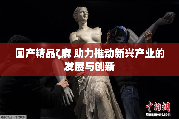 国产精品ζ麻 助力推动新兴产业的发展与创新