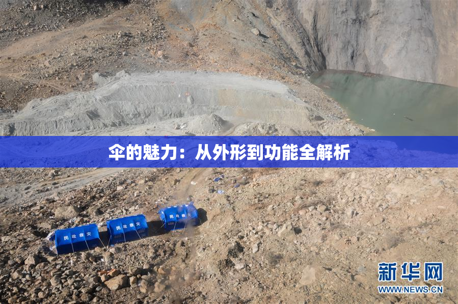 伞的魅力：从外形到功能全解析
