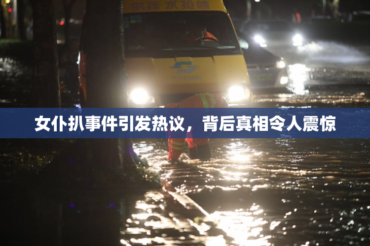 女仆扒事件引发热议，背后真相令人震惊