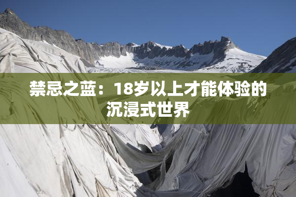 禁忌之蓝：18岁以上才能体验的沉浸式世界