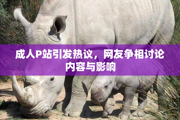 成人P站引发热议，网友争相讨论内容与影响
