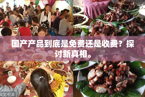 国产产品到底是免费还是收费？探讨新真相。