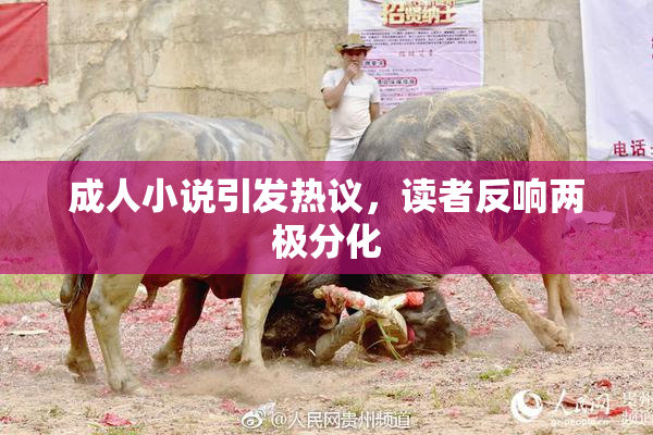 成人小说引发热议，读者反响两极分化