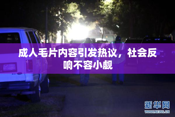 成人毛片内容引发热议，社会反响不容小觑