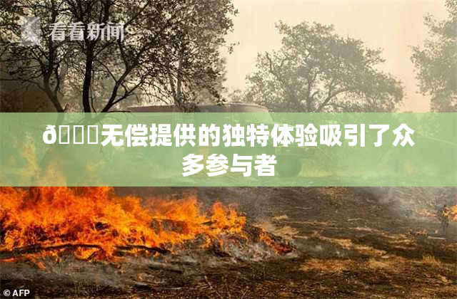 🔞无偿提供的独特体验吸引了众多参与者
