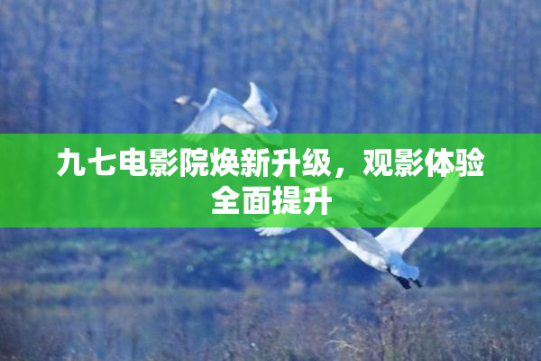 九七电影院焕新升级，观影体验全面提升
