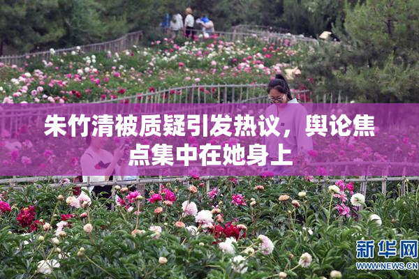 朱竹清被质疑引发热议，舆论焦点集中在她身上