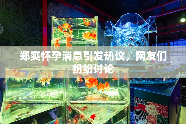 郑爽怀孕消息引发热议，网友们纷纷讨论