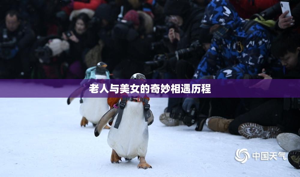老人与美女的奇妙相遇历程
