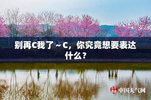 别再C我了～C，你究竟想要表达什么？
