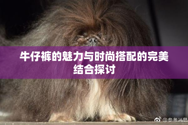 牛仔裤的魅力与时尚搭配的完美结合探讨