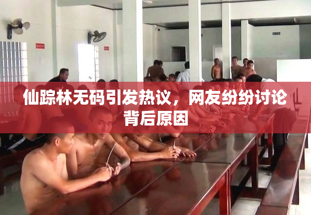 仙踪林无码引发热议，网友纷纷讨论背后原因