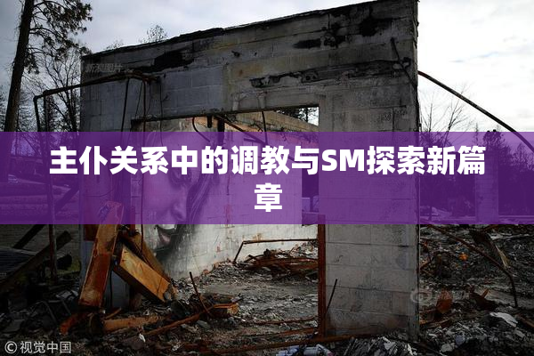 主仆关系中的调教与SM探索新篇章