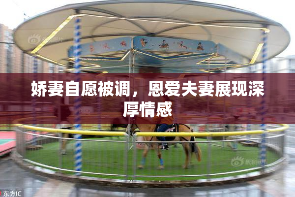 娇妻自愿被调，恩爱夫妻展现深厚情感