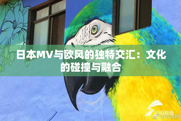 日本MV与欧风的独特交汇：文化的碰撞与融合