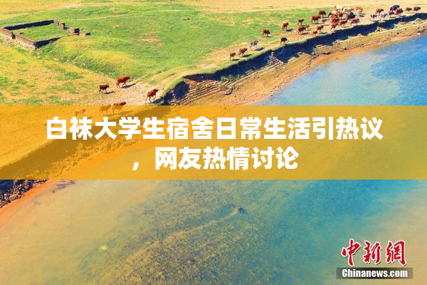 白袜大学生宿舍日常生活引热议，网友热情讨论