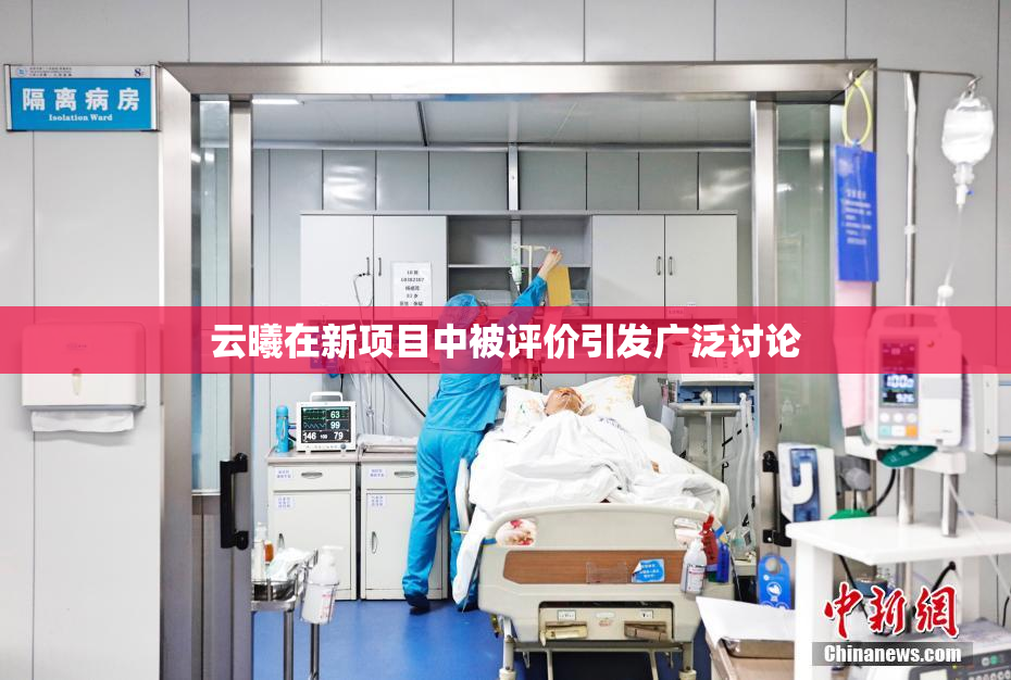 云曦在新项目中被评价引发广泛讨论