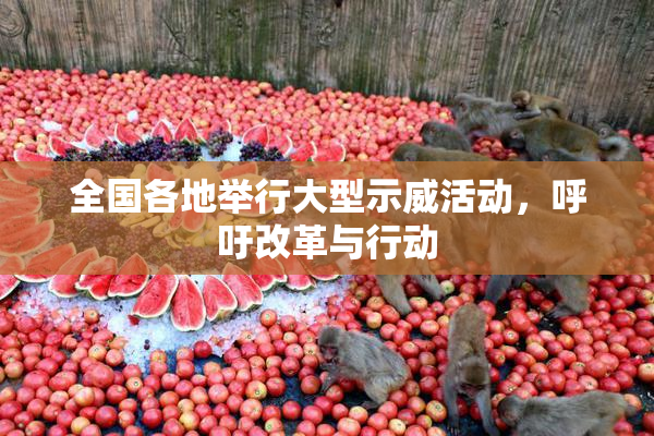 全国各地举行大型示威活动，呼吁改革与行动