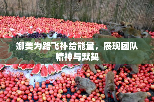 娜美为路飞补给能量，展现团队精神与默契
