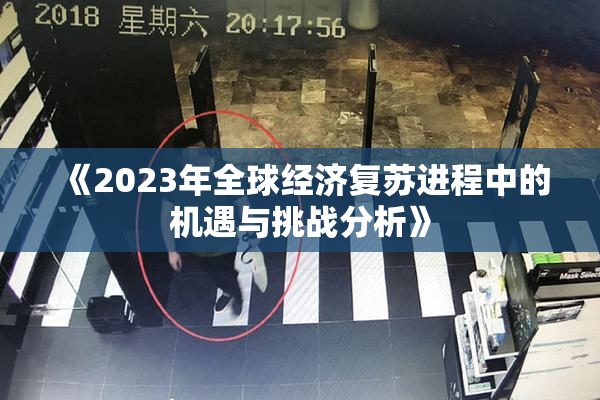 《2023年全球经济复苏进程中的机遇与挑战分析》