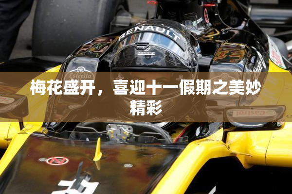 梅花盛开，喜迎十一假期之美妙精彩