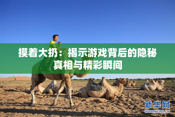摸着大扔：揭示游戏背后的隐秘真相与精彩瞬间