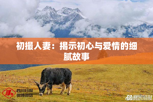 初撮人妻：揭示初心与爱情的细腻故事