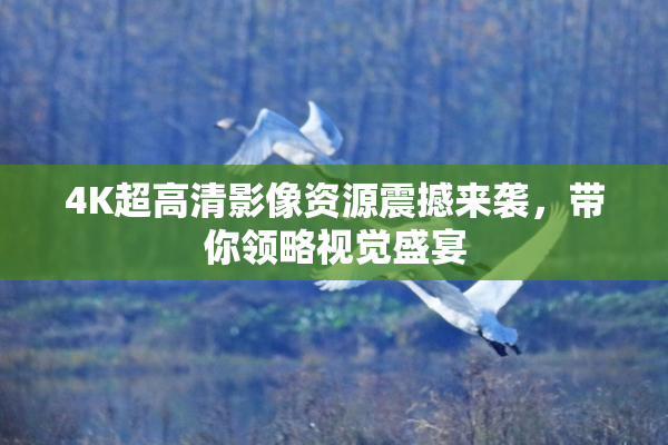 4K超高清影像资源震撼来袭，带你领略视觉盛宴