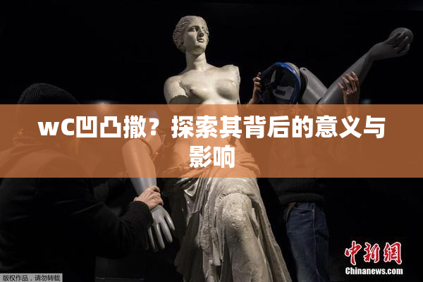 wC凹凸撒？探索其背后的意义与影响
