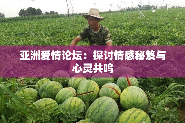 亚洲爱情论坛：探讨情感秘笈与心灵共鸣