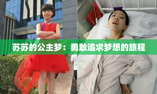 苏苏的公主梦：勇敢追求梦想的旅程