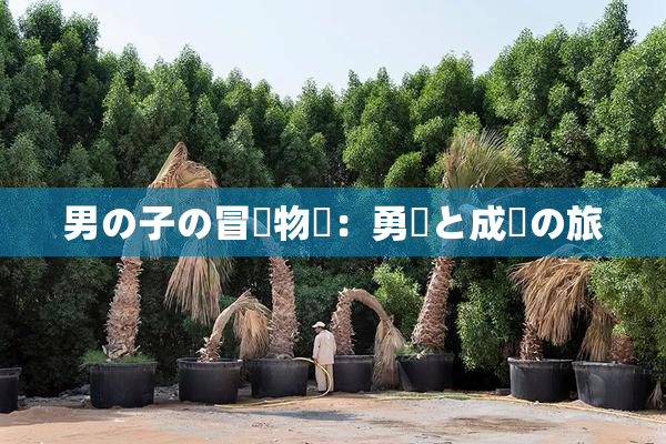 男の子の冒険物語：勇気と成長の旅