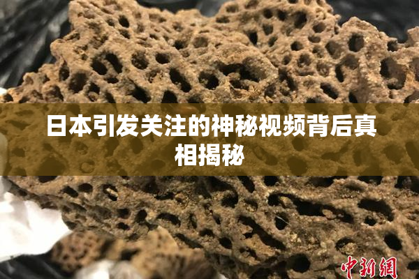 日本引发关注的神秘视频背后真相揭秘