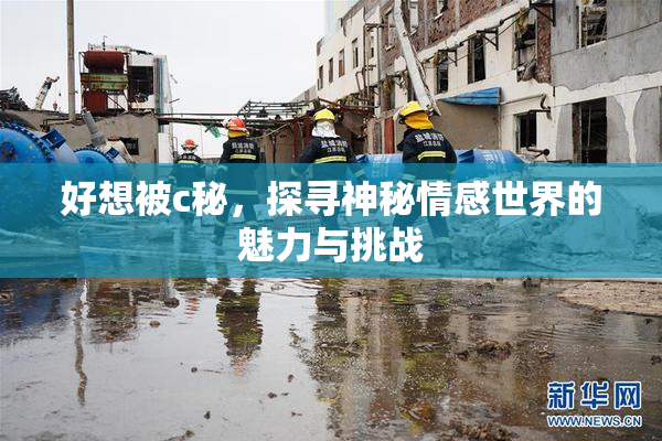 好想被c秘，探寻神秘情感世界的魅力与挑战